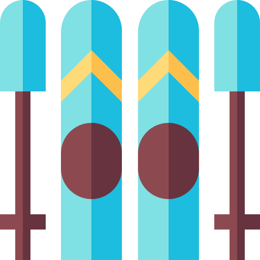 Skii icon
