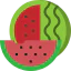 Watermelon icon 64x64