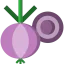 Onion icon 64x64