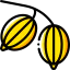 Gooseberry icon 64x64