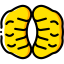 Nut icon 64x64