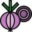 Onion icon 64x64