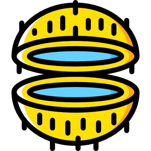 Coconut icon