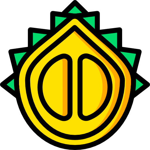 Persimmon icon