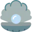 Oyster icon 64x64