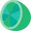 Lime icon 64x64