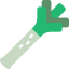 Leek icon 64x64