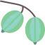 Gooseberry icon 64x64