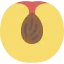 Peach icon 64x64