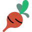 Radish icon 64x64