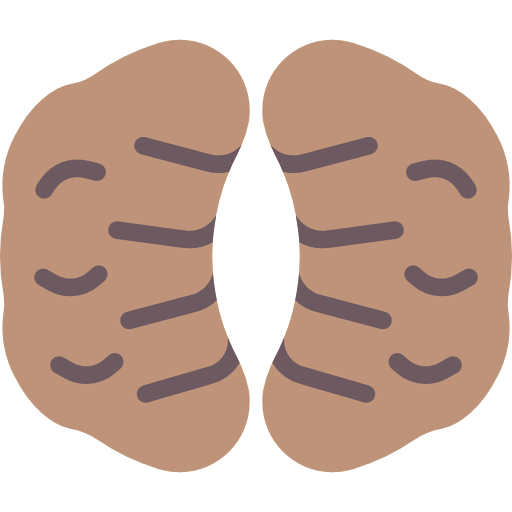 Nut icon