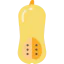 Butternut squash icon 64x64