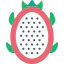 Pitaya icon 64x64