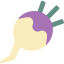 Turnip Ikona 64x64