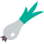 Onion icon 64x64