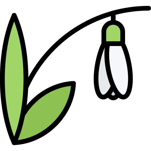 Snowdrop icon
