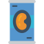 Beans icon 64x64