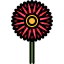 Gerbera icon 64x64