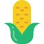 Кукурузный початок иконка 64x64