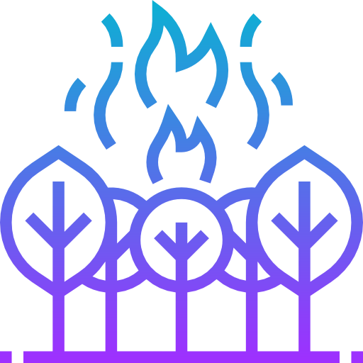 Fire icon