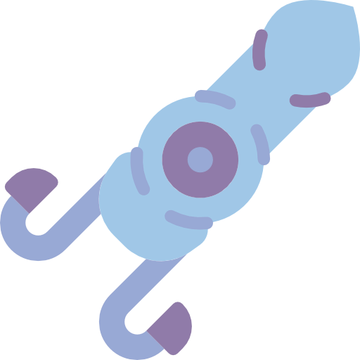 Squid icon