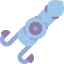 Squid icon 64x64