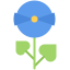 Flower icon 64x64