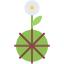 Flower icon 64x64