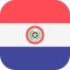 Paraguay icon 64x64