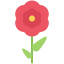 Flower icon 64x64