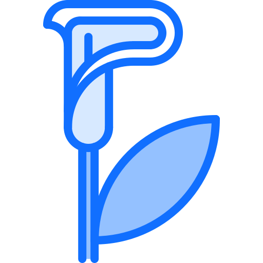 Calla icon