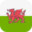 Wales icon 64x64