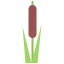 Reed ícono 64x64