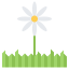Flower icon 64x64