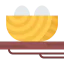 Nest Symbol 64x64