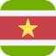 Suriname icon 64x64