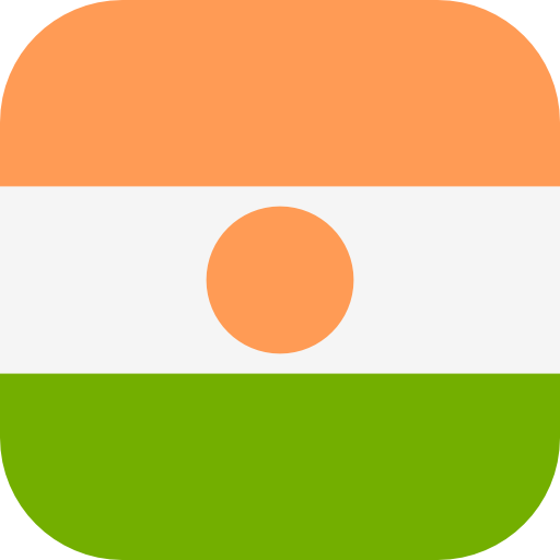 Niger icon