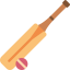 Cricket icon 64x64