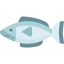 Fish icon 64x64