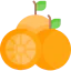 Orange icon 64x64