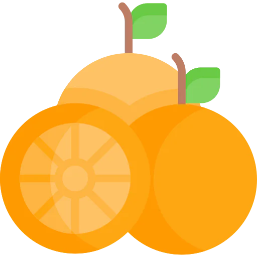 Orange icon