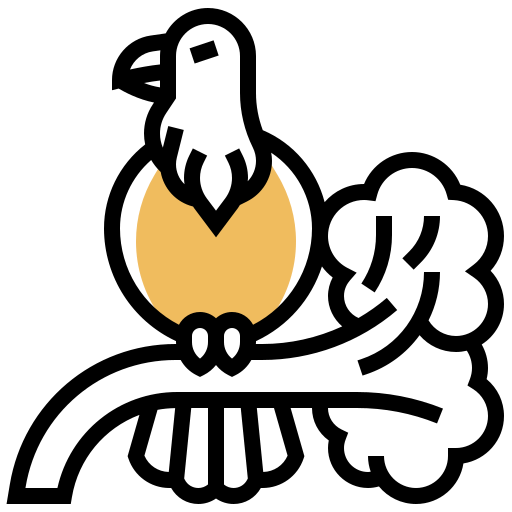 Eagle icon