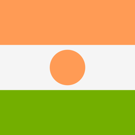 Niger icon