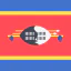 Swaziland icon 64x64