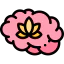 Brain icon 64x64