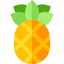 Pineapple icon 64x64