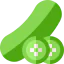 Cucumber icon 64x64