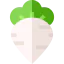 Turnip Ikona 64x64