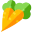 Carrot icon 64x64