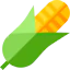 Corn icon 64x64
